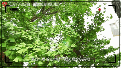 “唐伯虎点秋香”的故事就发生在江苏这座岛上？结局令东说念主唏嘘...