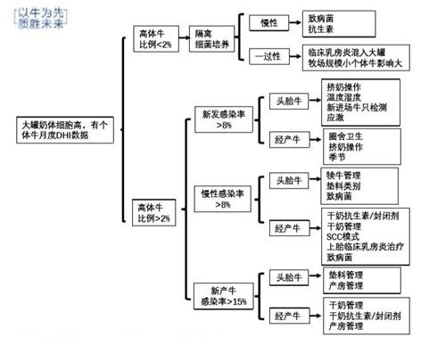 以牛为先，才能生产出好牛奶