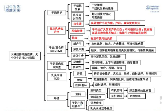 以牛为先，才能生产出好牛奶