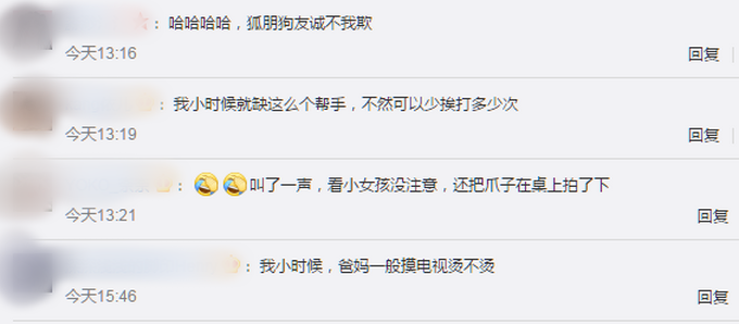 进门|狗子听到家长进门提醒女孩写作业 网友：我爸妈一般摸电视烫不烫