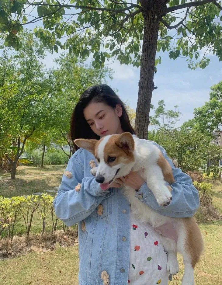 当周迅阿雅大表姐在一起，论气质无人能敌