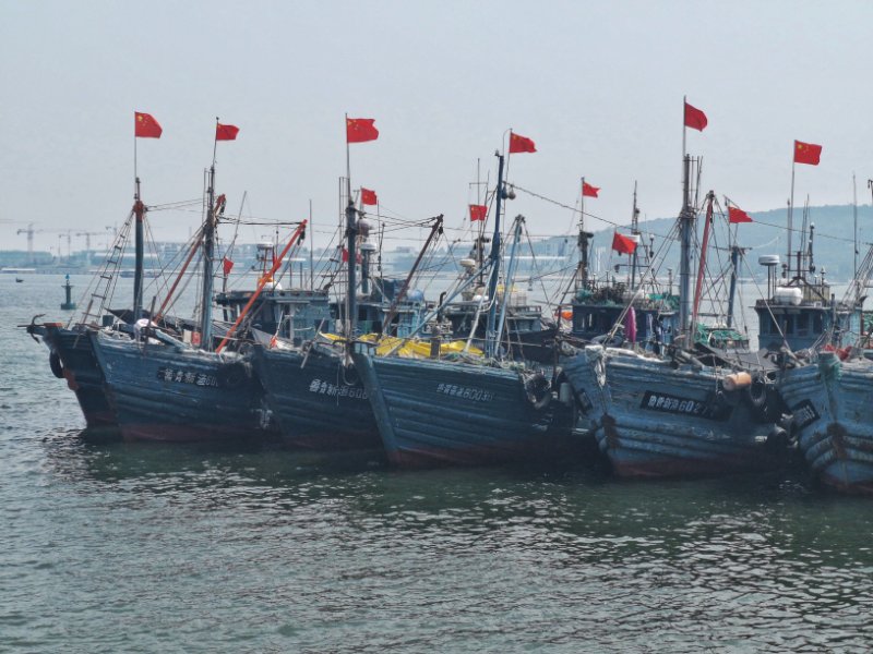 「钱眼2020」9月1号开海了！渔民期盼今秋有好收成