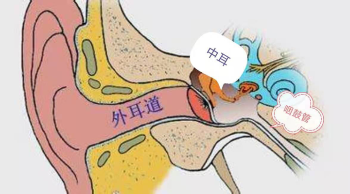 “耳痛”折磨了孩子，家长切记谨慎使用网上买的滴耳油