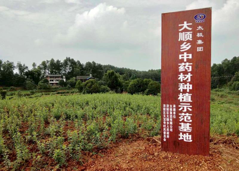 中医|“ 益气补虚”，重庆高位推动中医药传承创新发展