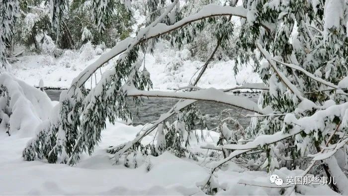 美国多地“天空染血”宛如地狱景象，还有些地方却九月飘雪