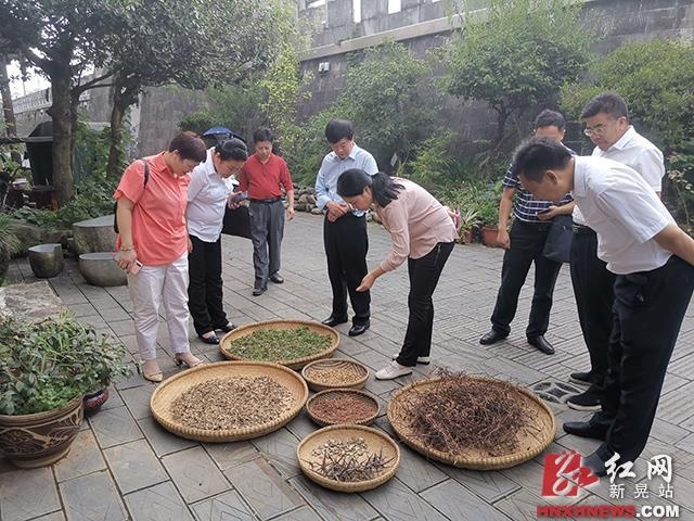 市人大深入我县调研民族民间医药发展情况