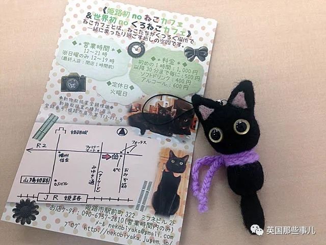 日本这家特别的猫咖收留各种被嫌弃的"黑煤球"，画风也太霸气了