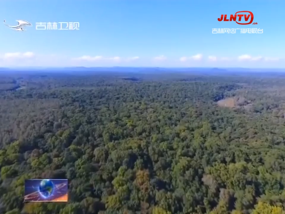 白山：药材好药才好 高质量推升中医药产业