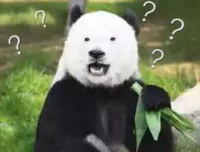 中国竟有两种大熊猫？但它们却不算“很熟”……