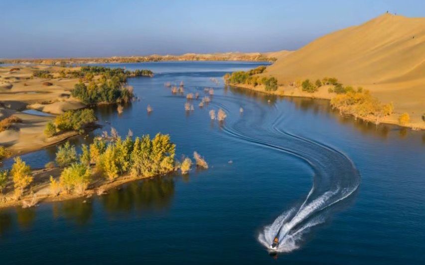 沙漠养出淡水蟹 塔里木河流域生态治理成果显现