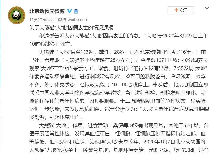心痛！北京动物园28岁大熊猫“大地”因病去世
