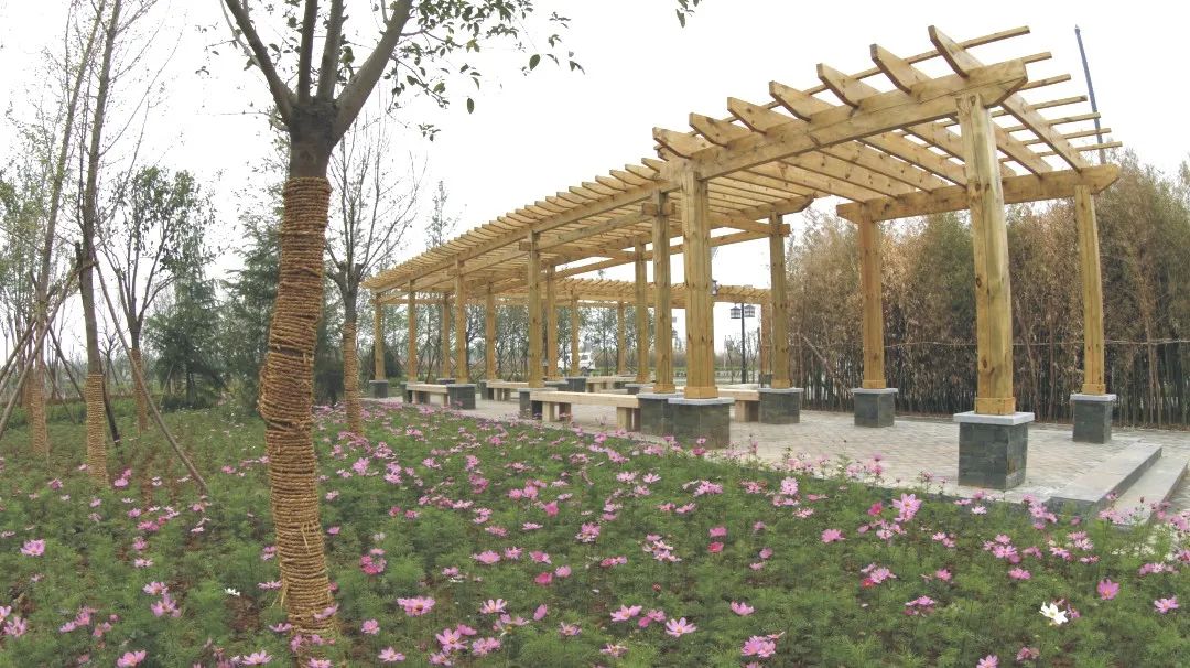 服务全运 美化城市｜聚精会神打赢攻坚战！秋冬季城市绿化敲黑板划重点啦