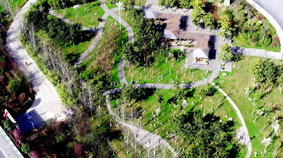 服务全运 美化城市｜聚精会神打赢攻坚战！秋冬季城市绿化敲黑板划重点啦