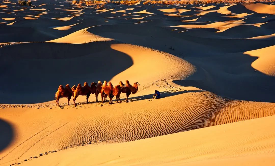 Haven’t been to Inner Mongolia to see the spring, summer, autumn and winter