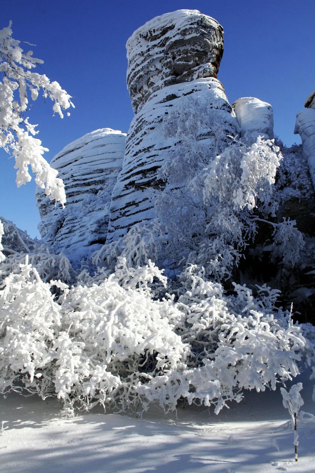 Haven’t been to Inner Mongolia to see the spring, summer, autumn and winter