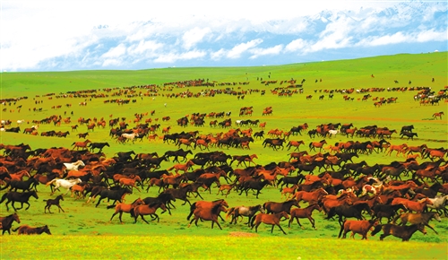 There is a kind of beauty called the beauty of Xinjiang