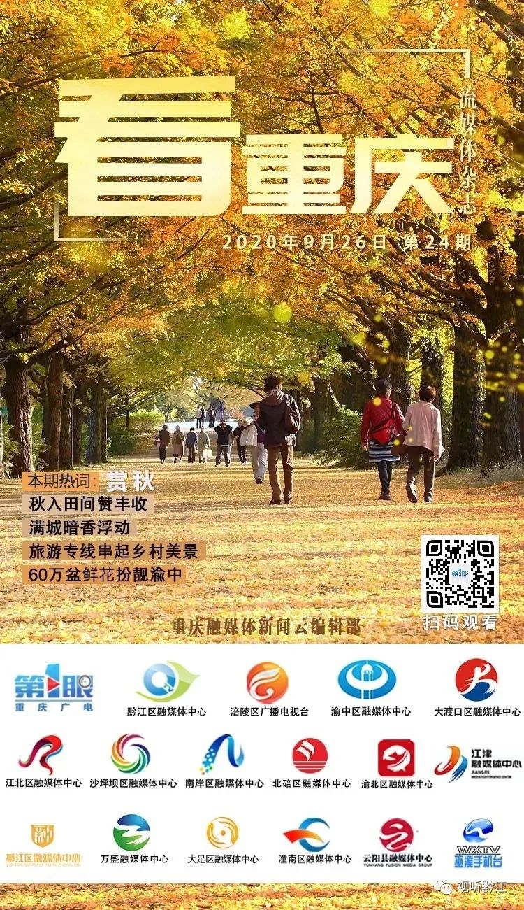 《看重庆》第24期丨赏秋