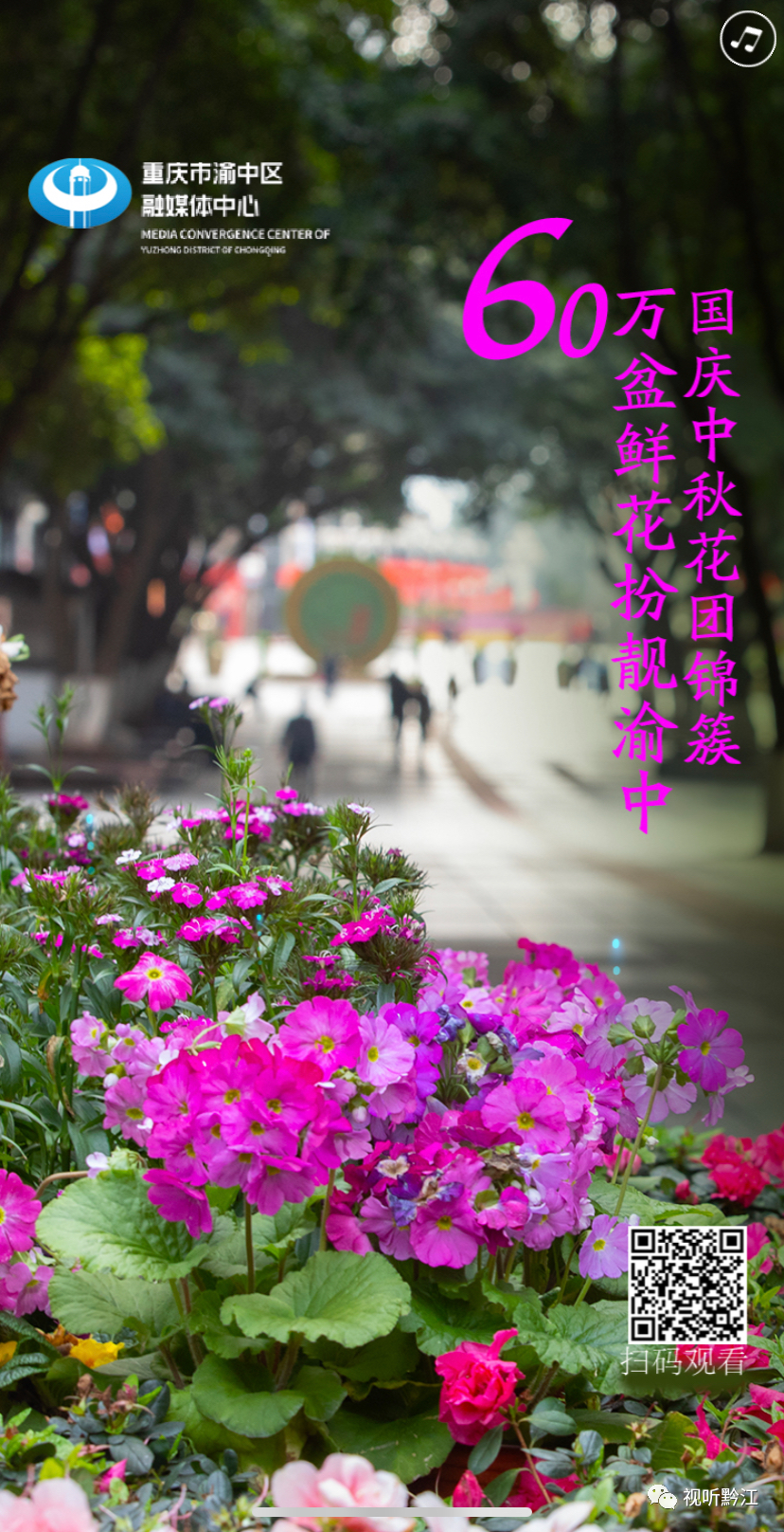 《看重庆》第24期丨赏秋