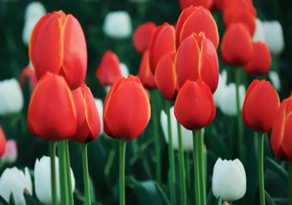 生氣的代價（深度好文）