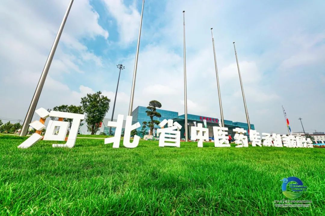 抗疫药品扎堆亮相河北省中医药传承创新发展大会