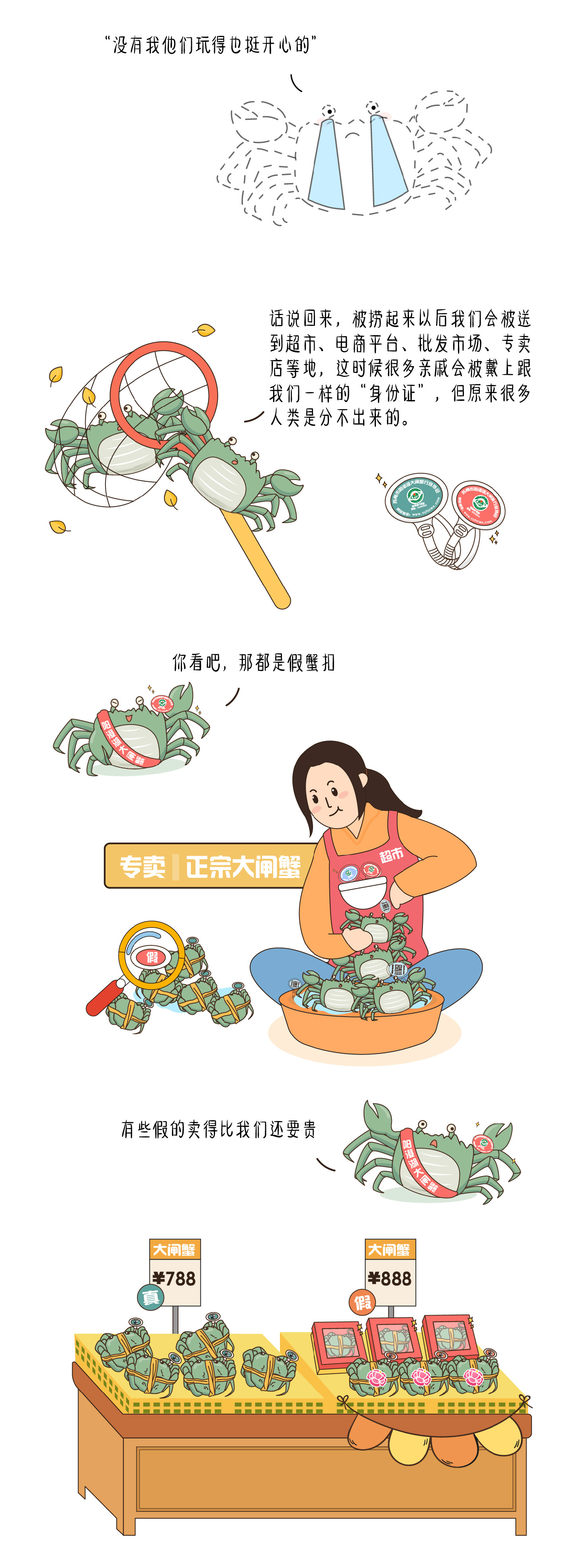一只正宗阳澄湖大闸蟹的自白