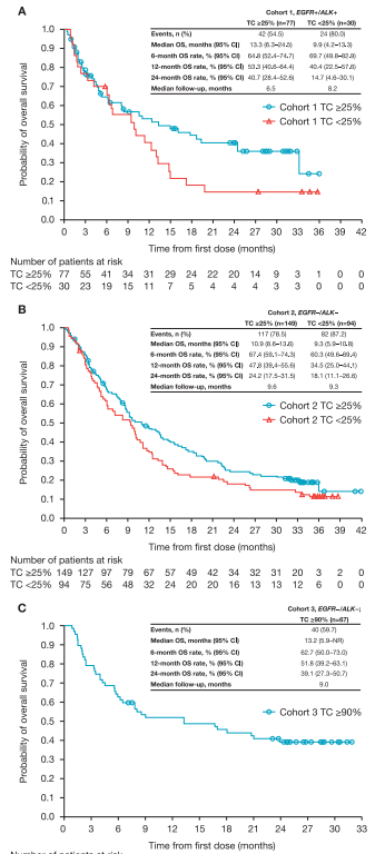 EGFR+经治NSCLC患者使用PD-L1抑制剂，OS达16.1个月！ATLANTIC最终分析出炉