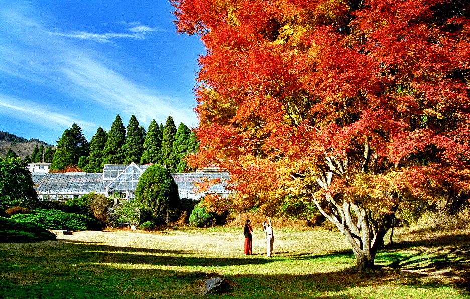 A three-day tour of Mount Lushan and Jiujiang at ease