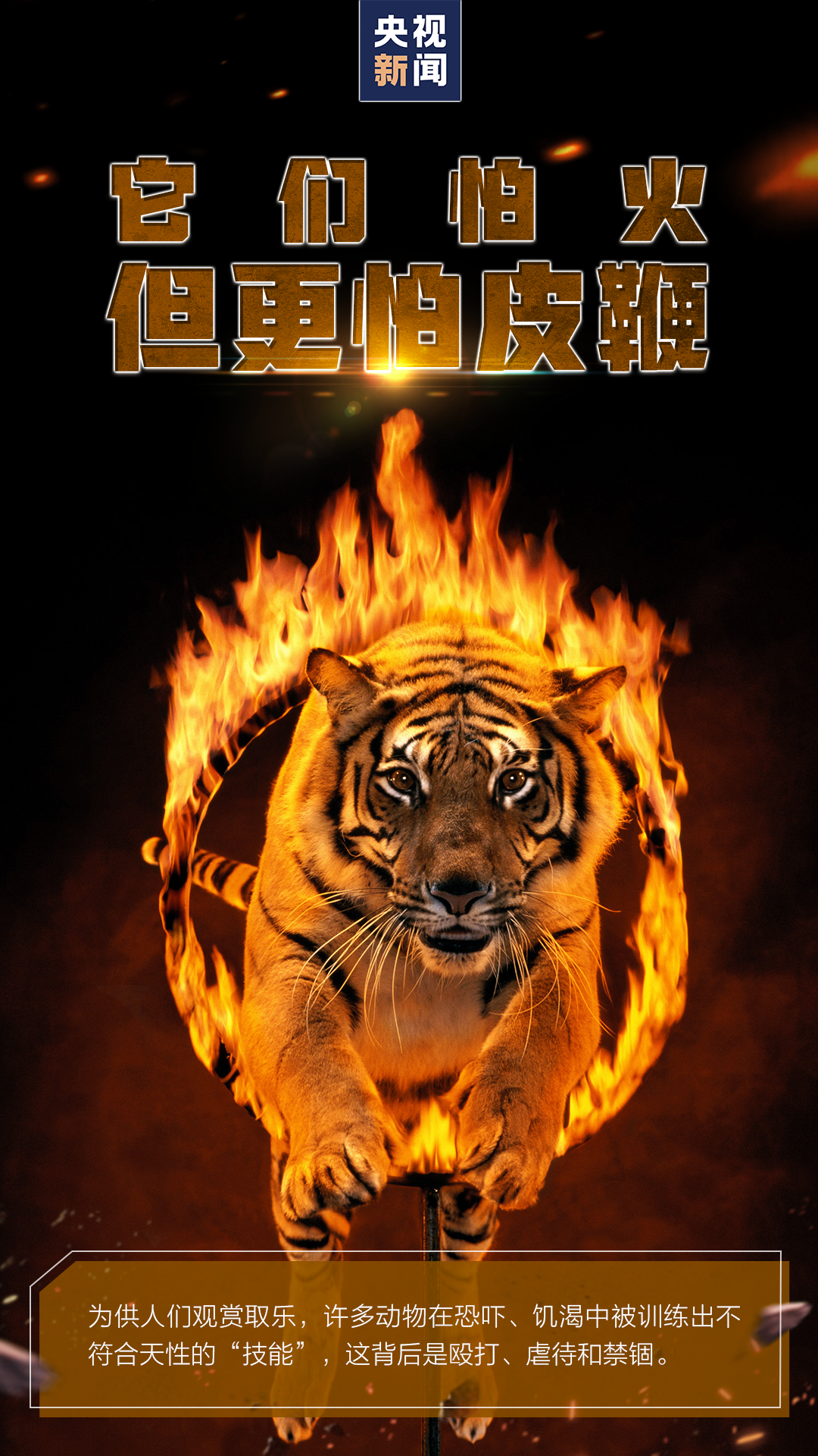 拒絕也是一種保護(hù)，請遠(yuǎn)離這類表演