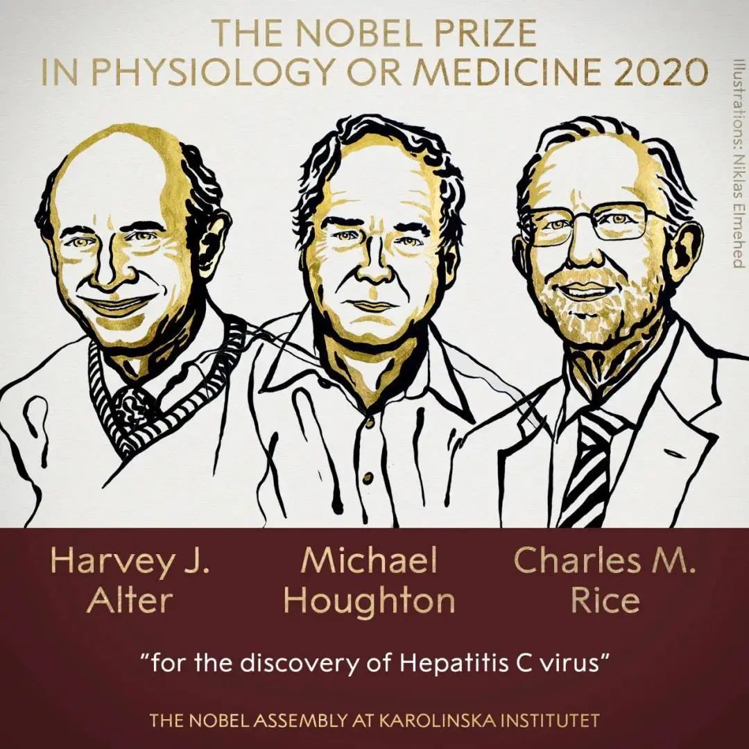 2020年诺贝尔生理学或医学奖揭晓，三位科学家因发现丙肝病毒而获奖