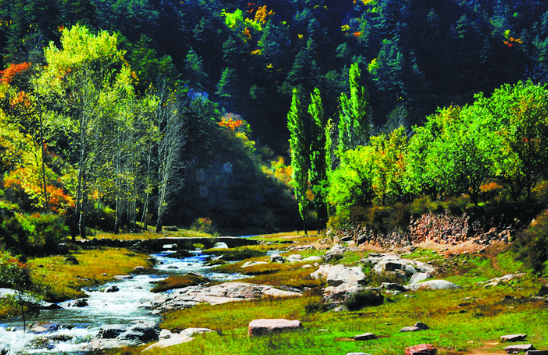 Jiaocheng Pangquangou: A Fairy Tale in Autumn