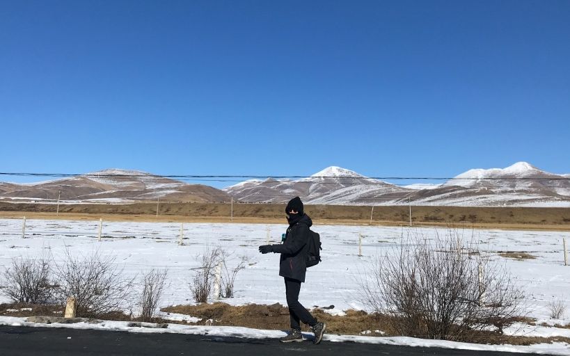 大波浪樂隊：用悲觀激起快樂丨新京報ｘ樂隊的夏天