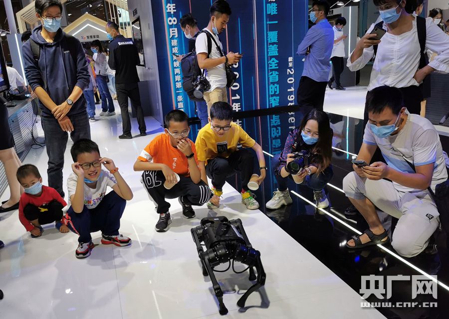 聚焦 丨 第三届数字中国建设成果展览会精彩瞬间
