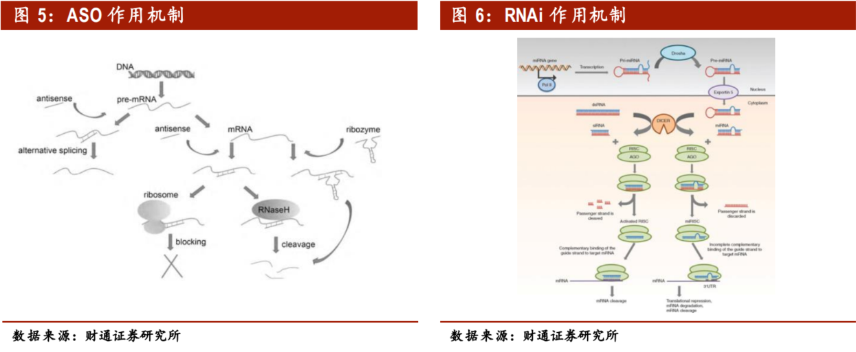 基因治疗将引领生物医药第三次革命？