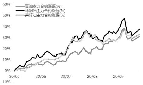 豆油仍有续涨空间