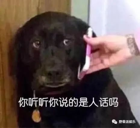 两个前女友出来锤渣男？这瓜越吃越多了……