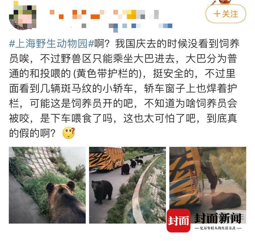 上海野生动物园猛兽区发生安全问题暂时闭园 游客：饲养员被熊撕咬