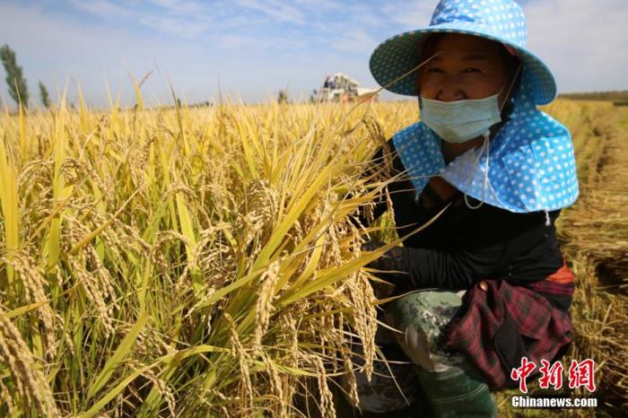 农业农村部：预计今年粮食产量达到历史最好水平