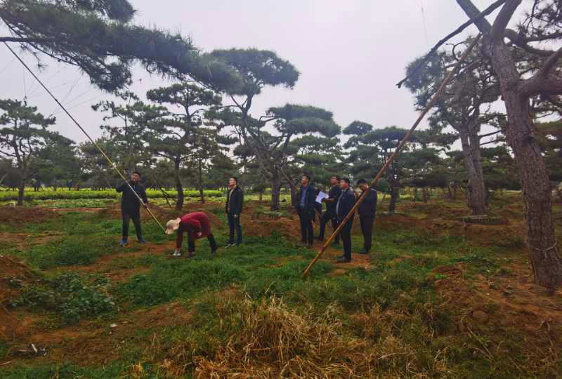 天橋區(qū)黃河北部迎賓大道建設(shè)再提速，25日起半封閉施工