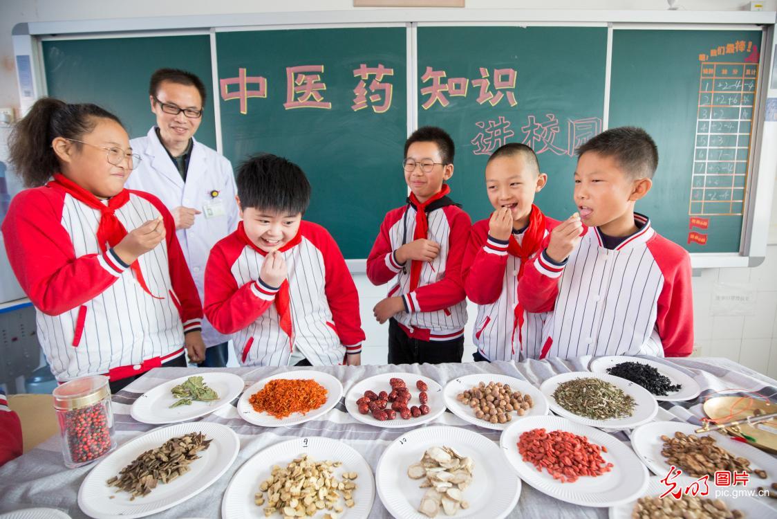 世界传统医药日：识草药 学中医