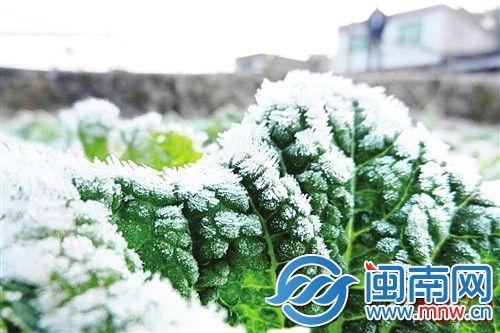小寒文案朋友圈说说简短 2020小寒具体时间,关于小寒诗词语段