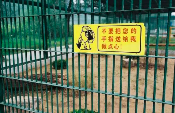 “熊伤人”事件背后，上海野生动物园里的安全隐患