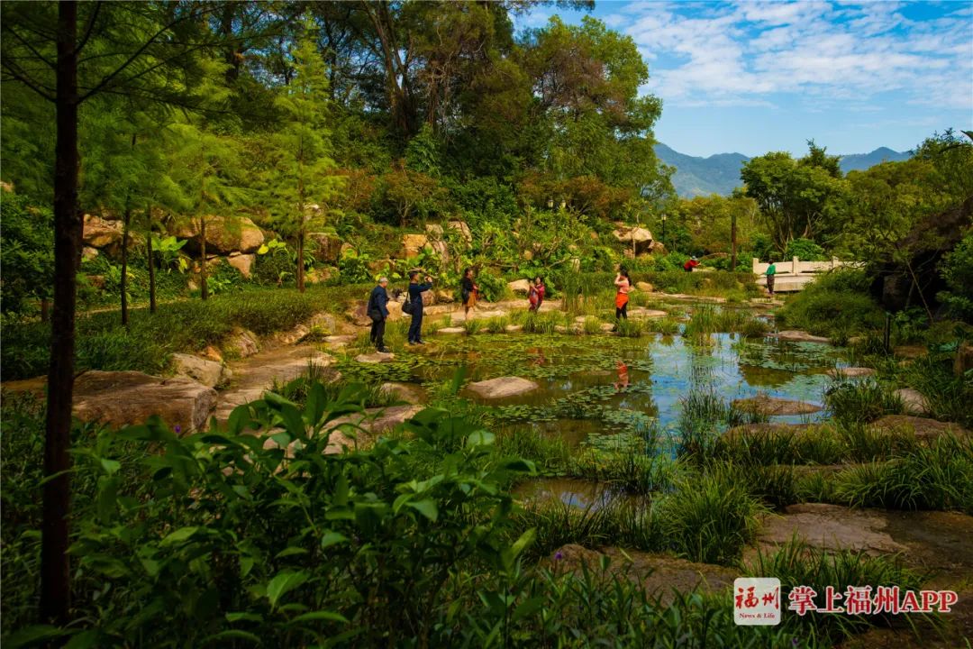 福州福山郊野公園全線貫通,20公里長步道驚喜滿滿