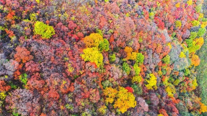 Ecological "dividends" benefit people's livelihood