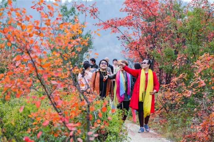Ecological "dividends" benefit people's livelihood