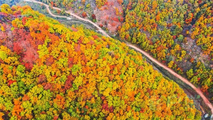 Ecological "dividends" benefit people's livelihood