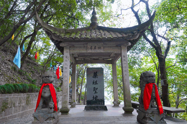 一座山、一个人、一种传承……走进“药祖圣地 养生福地”，感受中医药文化