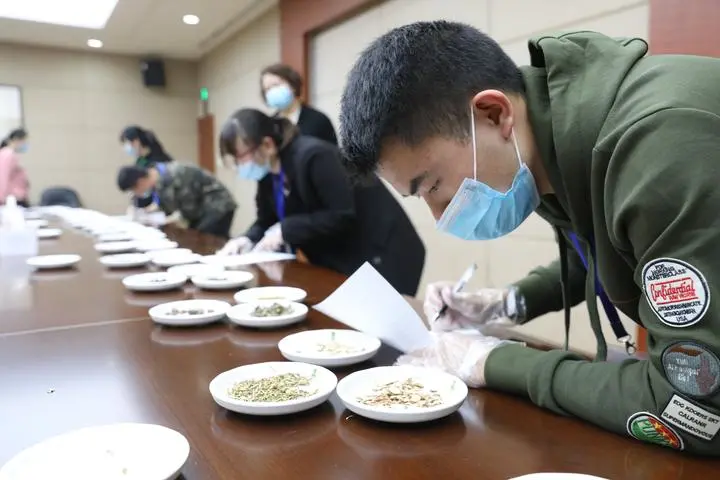 一座山、一个人、一种传承……走进“药祖圣地 养生福地”，感受中医药文化