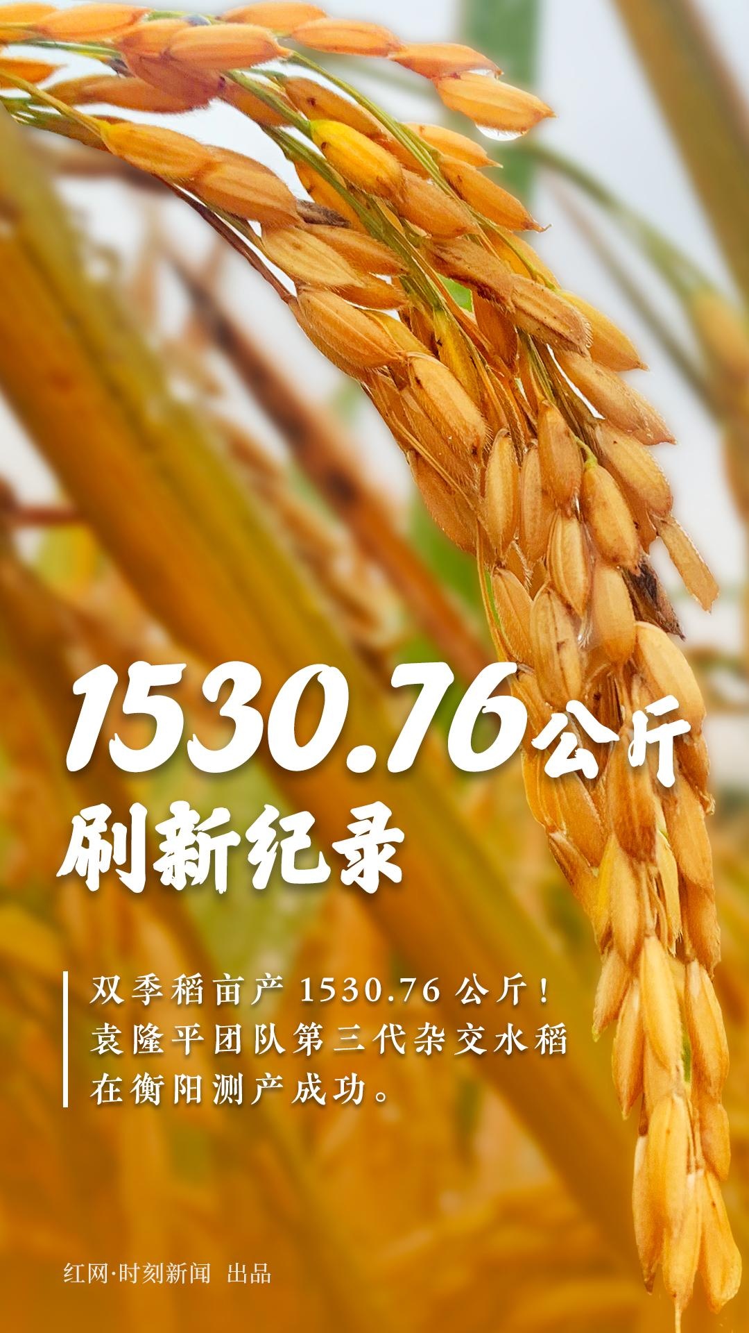 亩产1530.76公斤！袁隆平的杂交稻再次刷新纪录