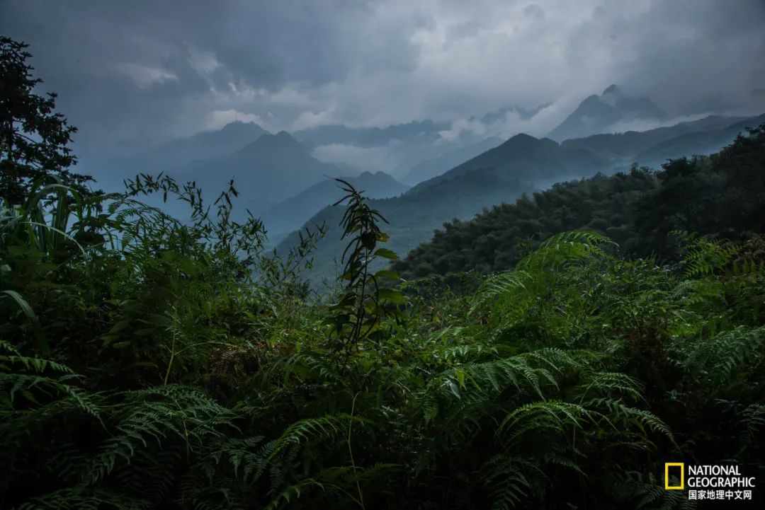 This mountain in Anhui has finally recovered