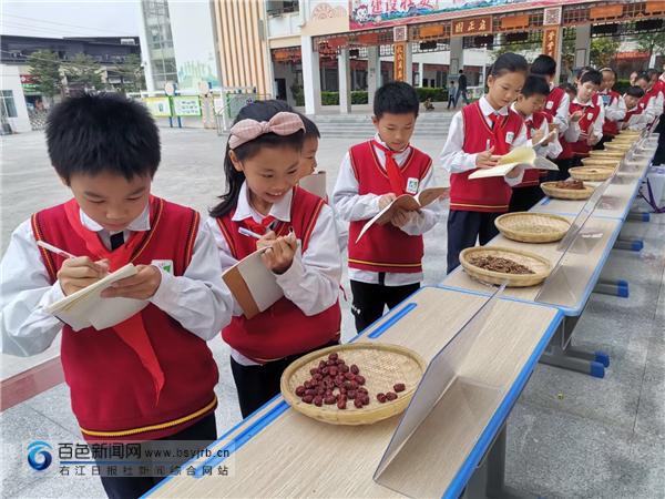 传承！红领巾续写新时代的“本草纲目”